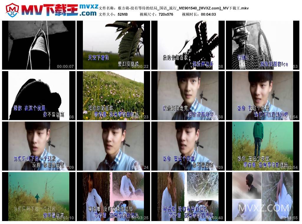 蔡方萌-没有等待的结局_国语_流行_ME901540